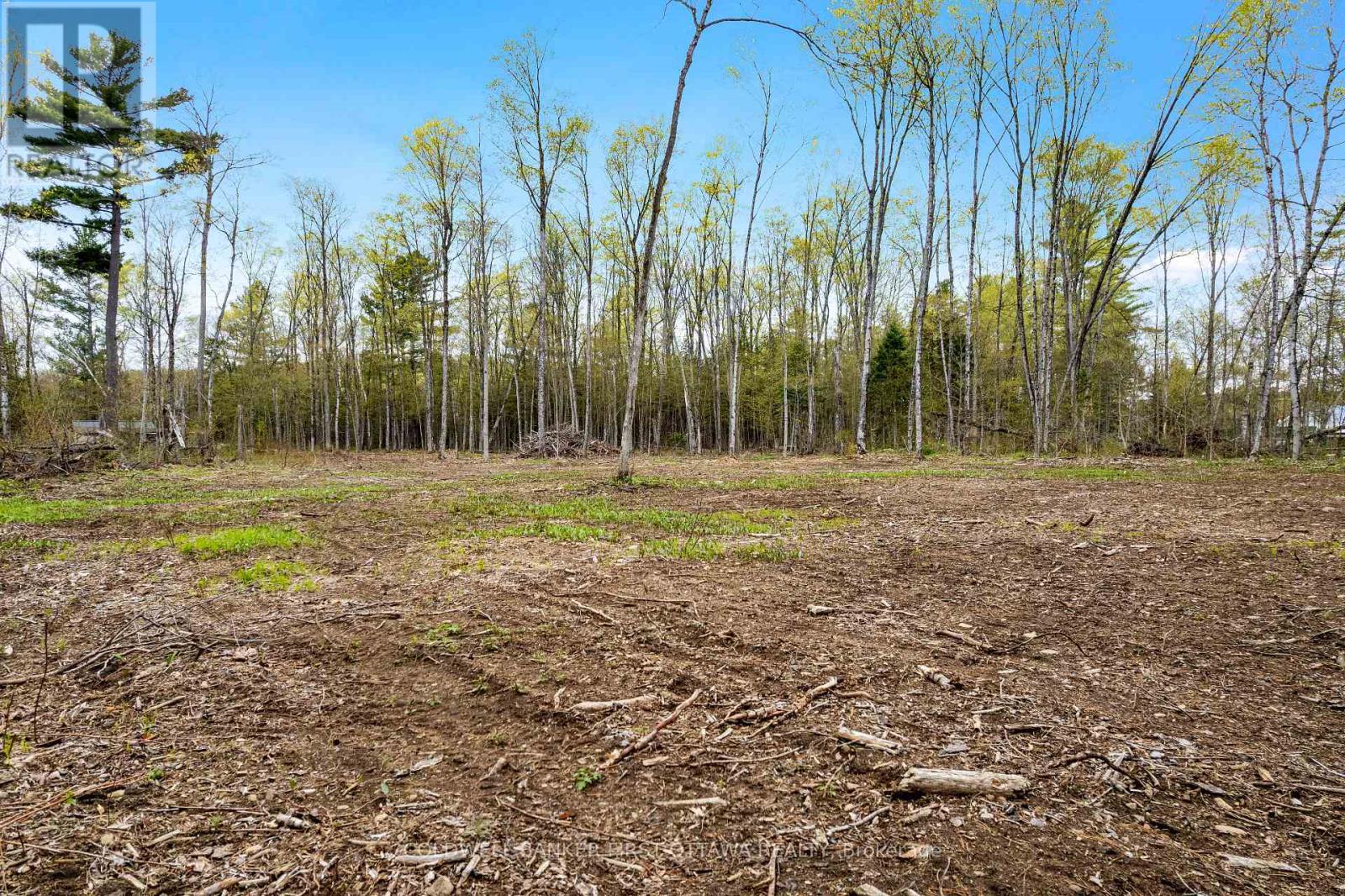 3776 Buckshot Lake Road, Addington Highlands, Ontario  K0H 2M0 - Photo 12 - X13160010