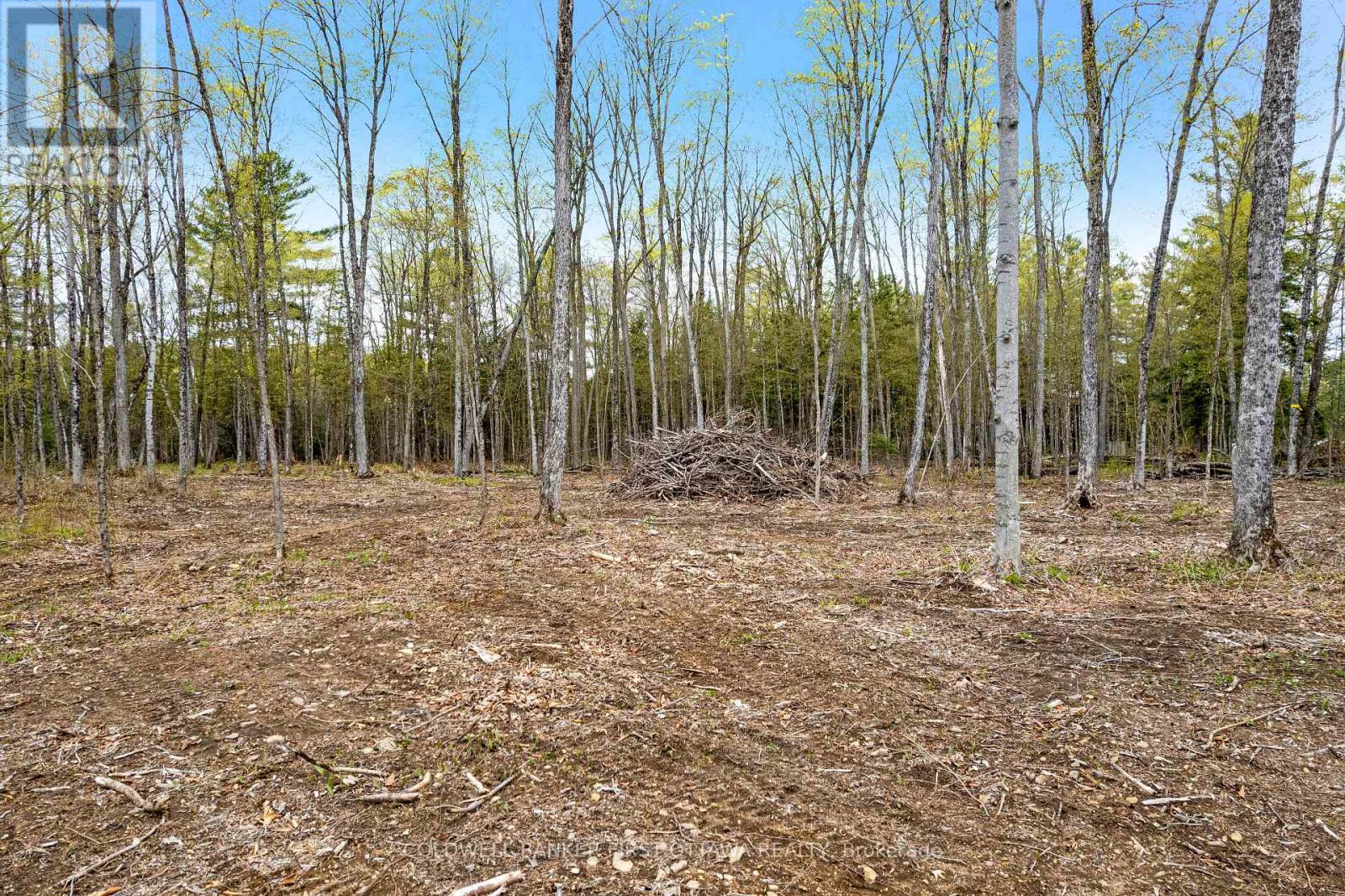 3776 Buckshot Lake Road, Addington Highlands, Ontario  K0H 2M0 - Photo 13 - X13160010