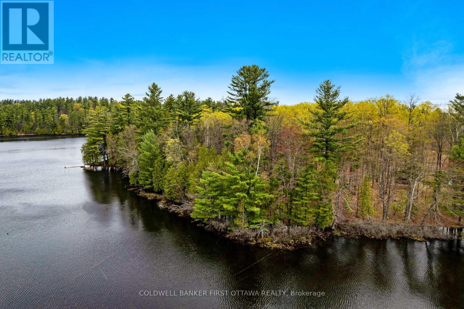 3776 Buckshot Lake Road, Addington Highlands, Ontario  K0H 2M0 - Photo 4 - X13160010