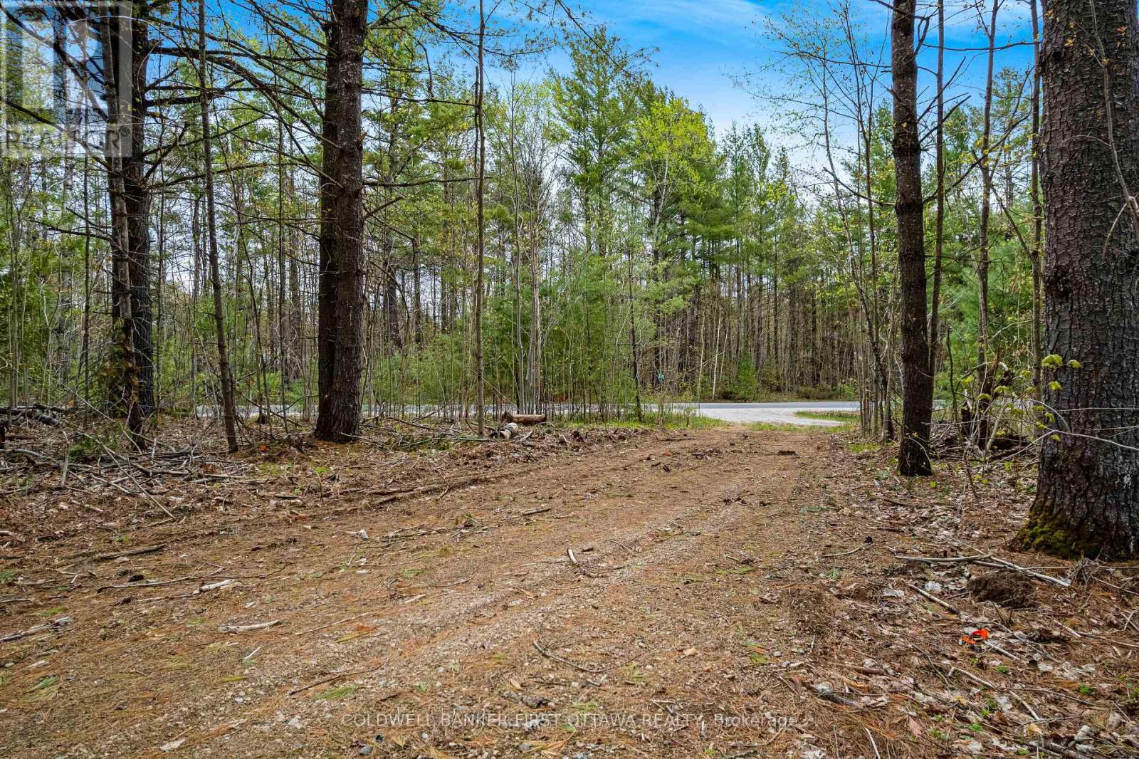 3776 Buckshot Lake Road, Addington Highlands, Ontario  K0H 2M0 - Photo 7 - X13160010