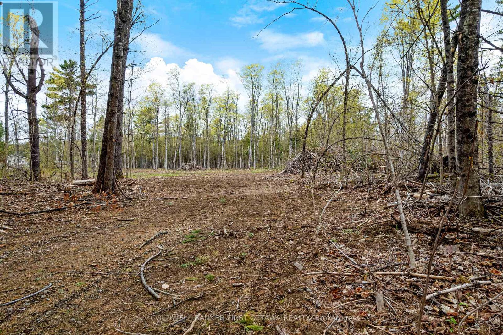 3776 Buckshot Lake Road, Addington Highlands, Ontario  K0H 2M0 - Photo 8 - X13160010