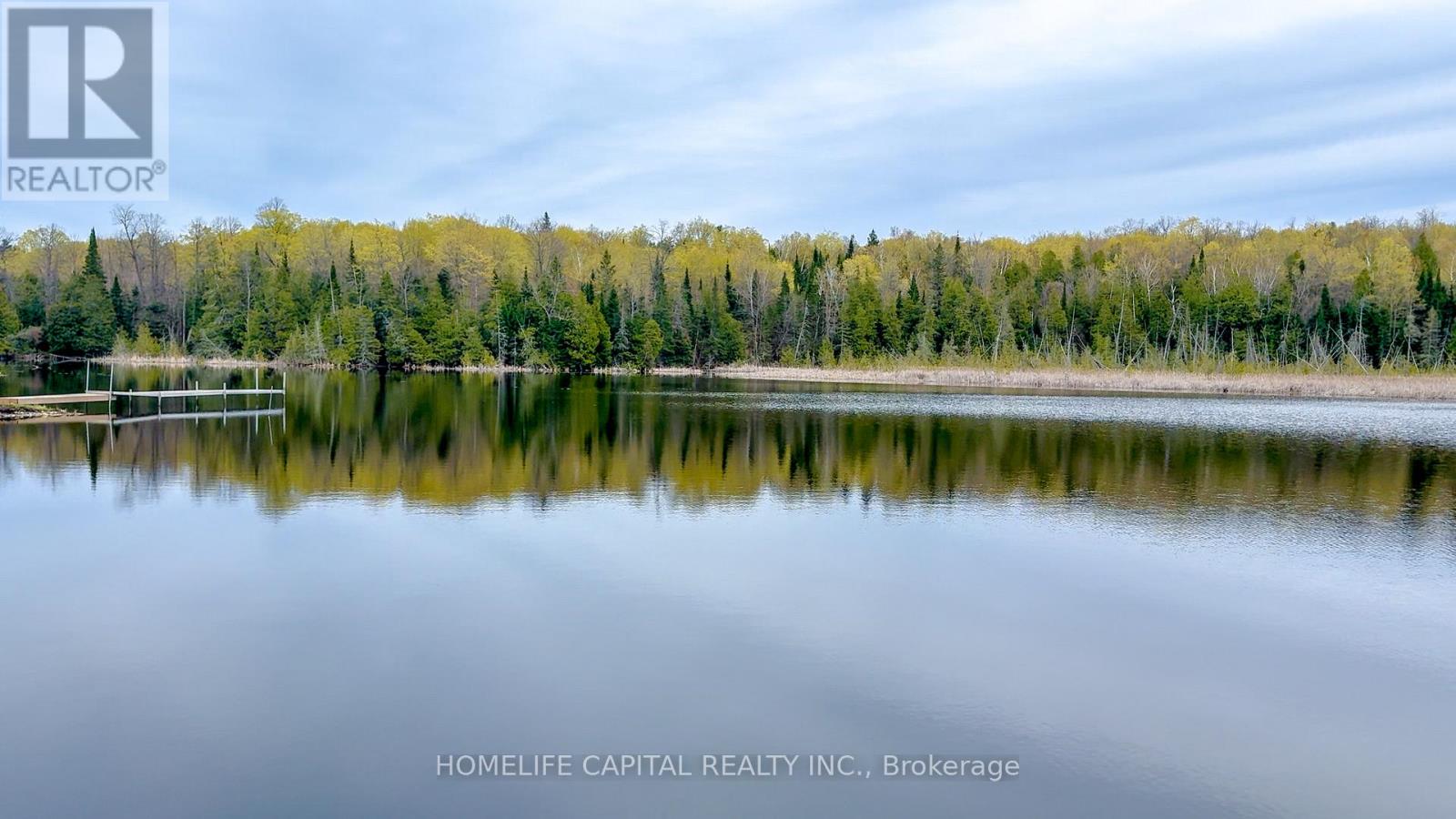 221 Lacourse Lane, Lanark Highlands, Ontario  K0A 3L0 - Photo 6 - X13161978