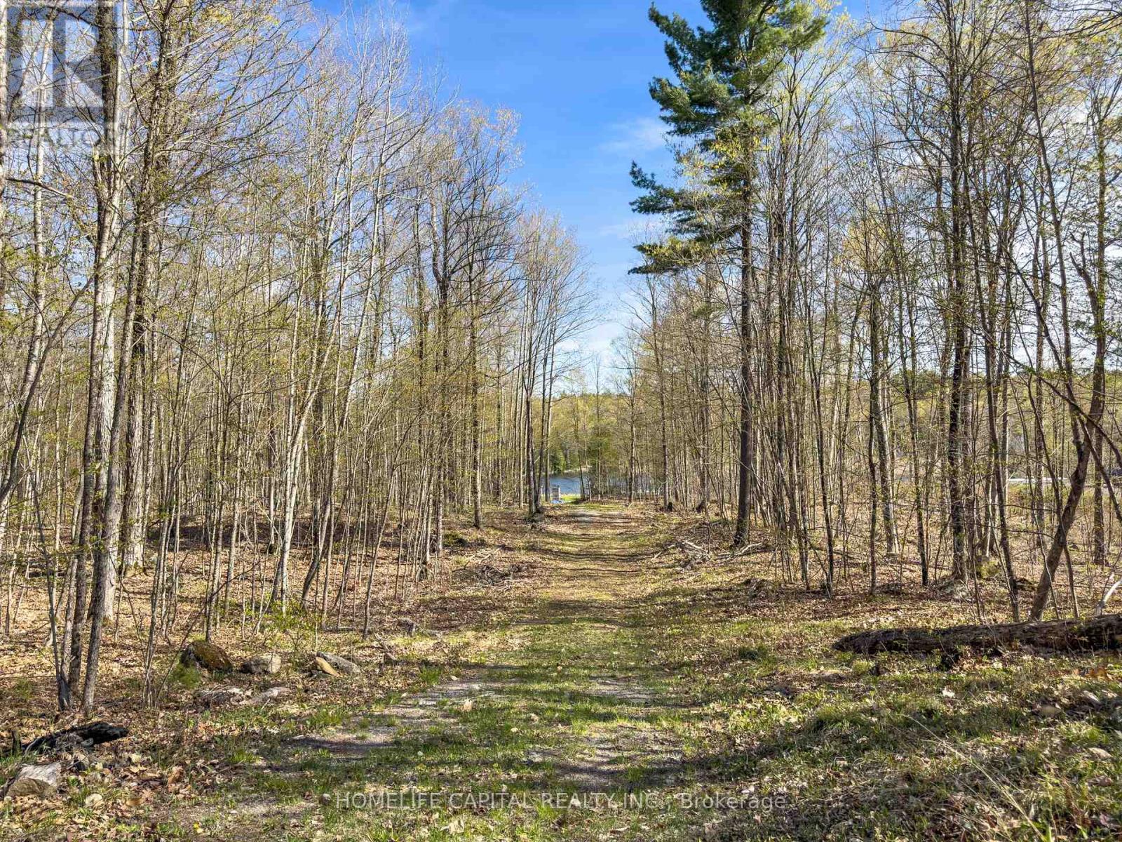 211 Lacourse Lane, Lanark Highlands, Ontario  K0A 3L0 - Photo 22 - X13162682