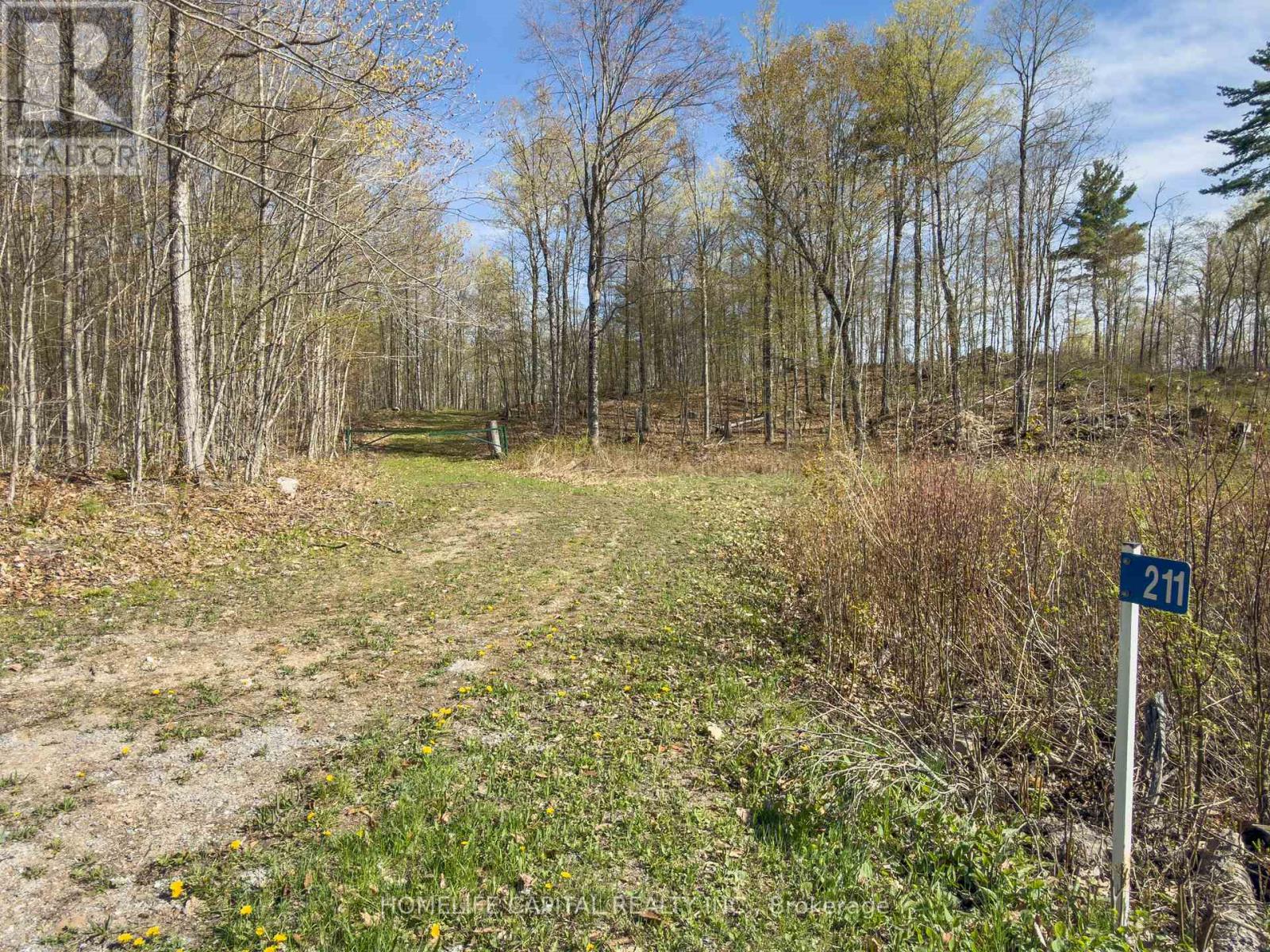 211 Lacourse Lane, Lanark Highlands, Ontario  K0A 3L0 - Photo 24 - X13162682