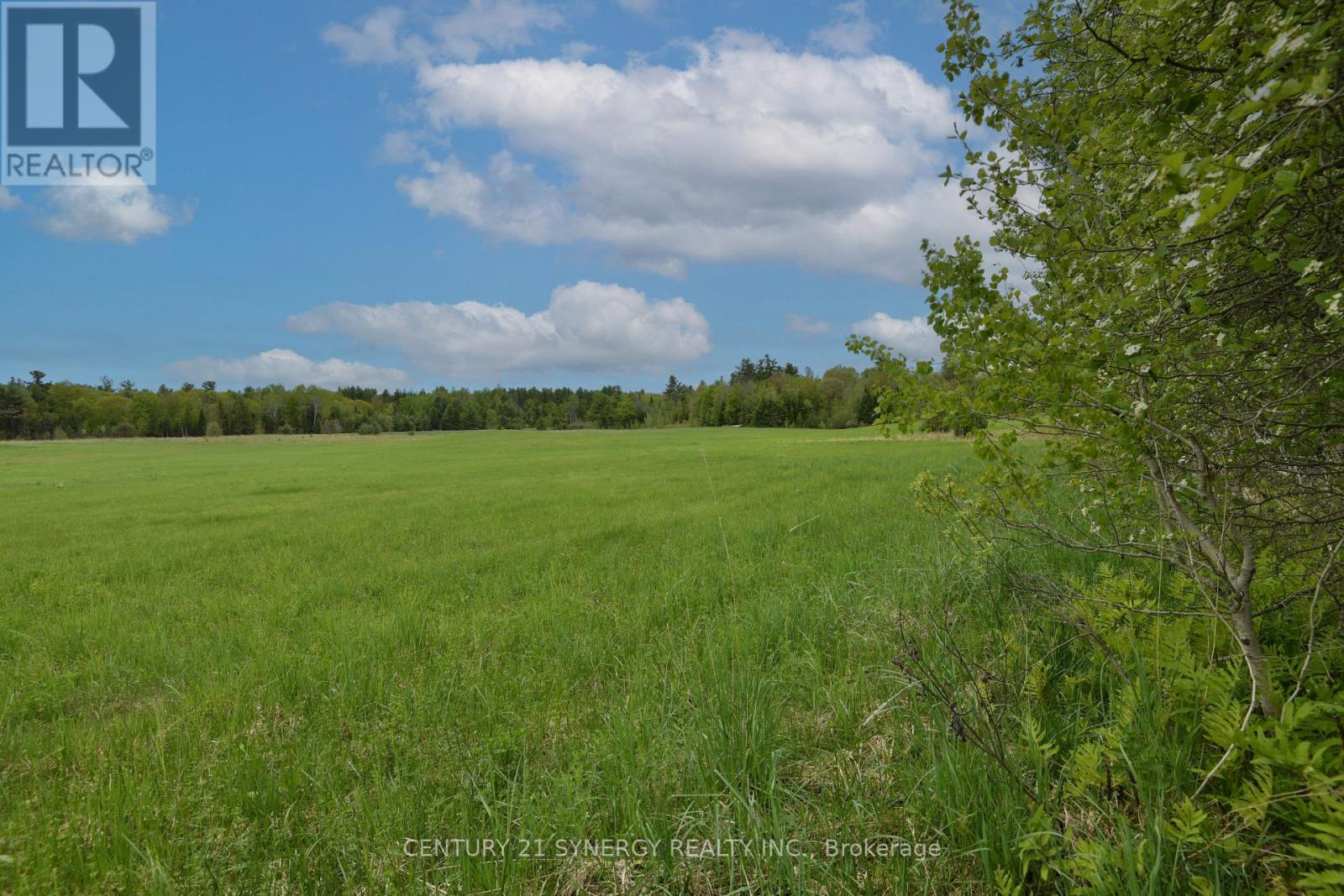 00 Milton Stewart Avenue, Mcnab/braeside, Ontario  K7S 0E1 - Photo 15 - X13169374