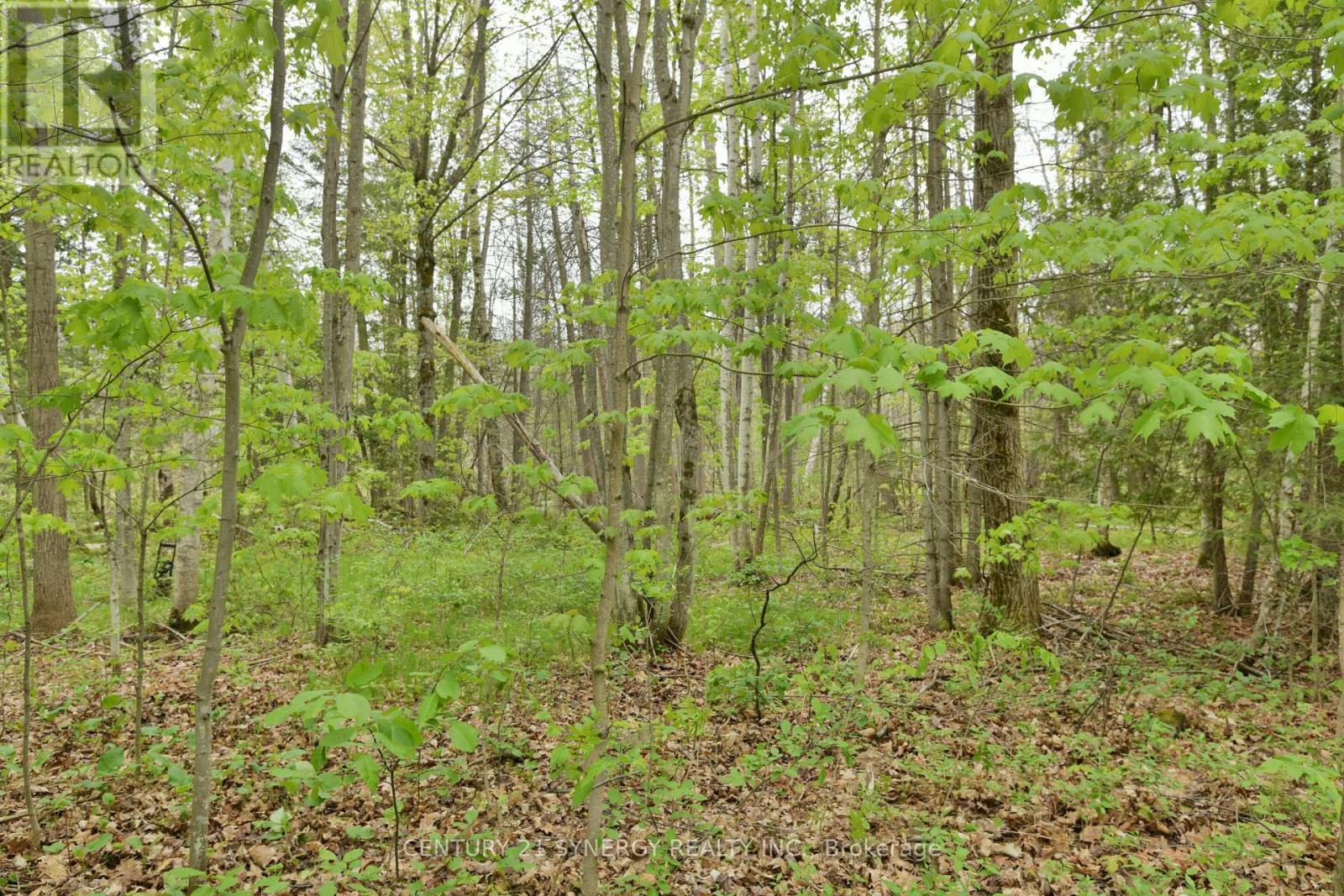 00 Milton Stewart Avenue, Mcnab/braeside, Ontario  K7S 0E1 - Photo 16 - X13169374
