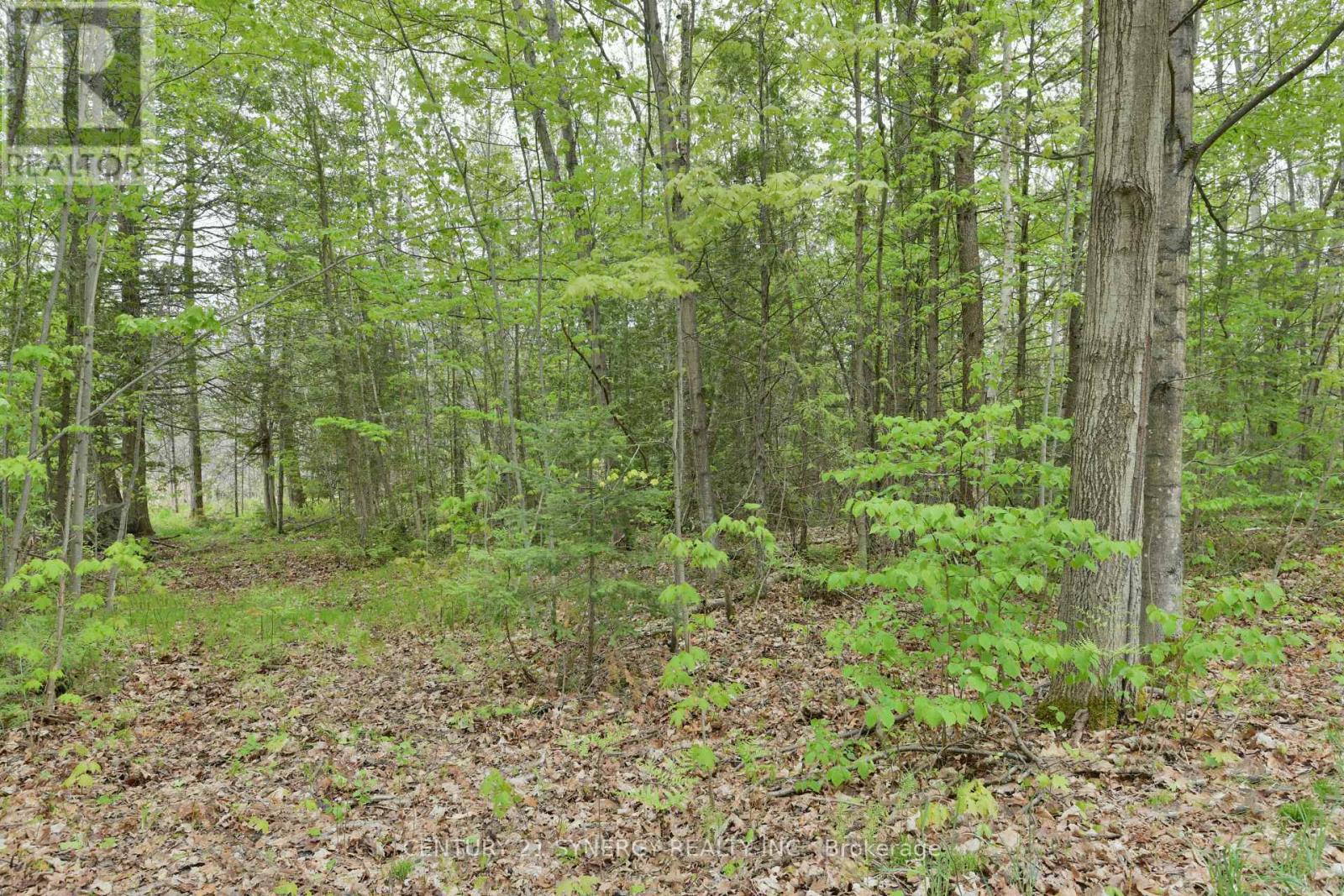 00 Milton Stewart Avenue, Mcnab/braeside, Ontario  K7S 0E1 - Photo 17 - X13169374