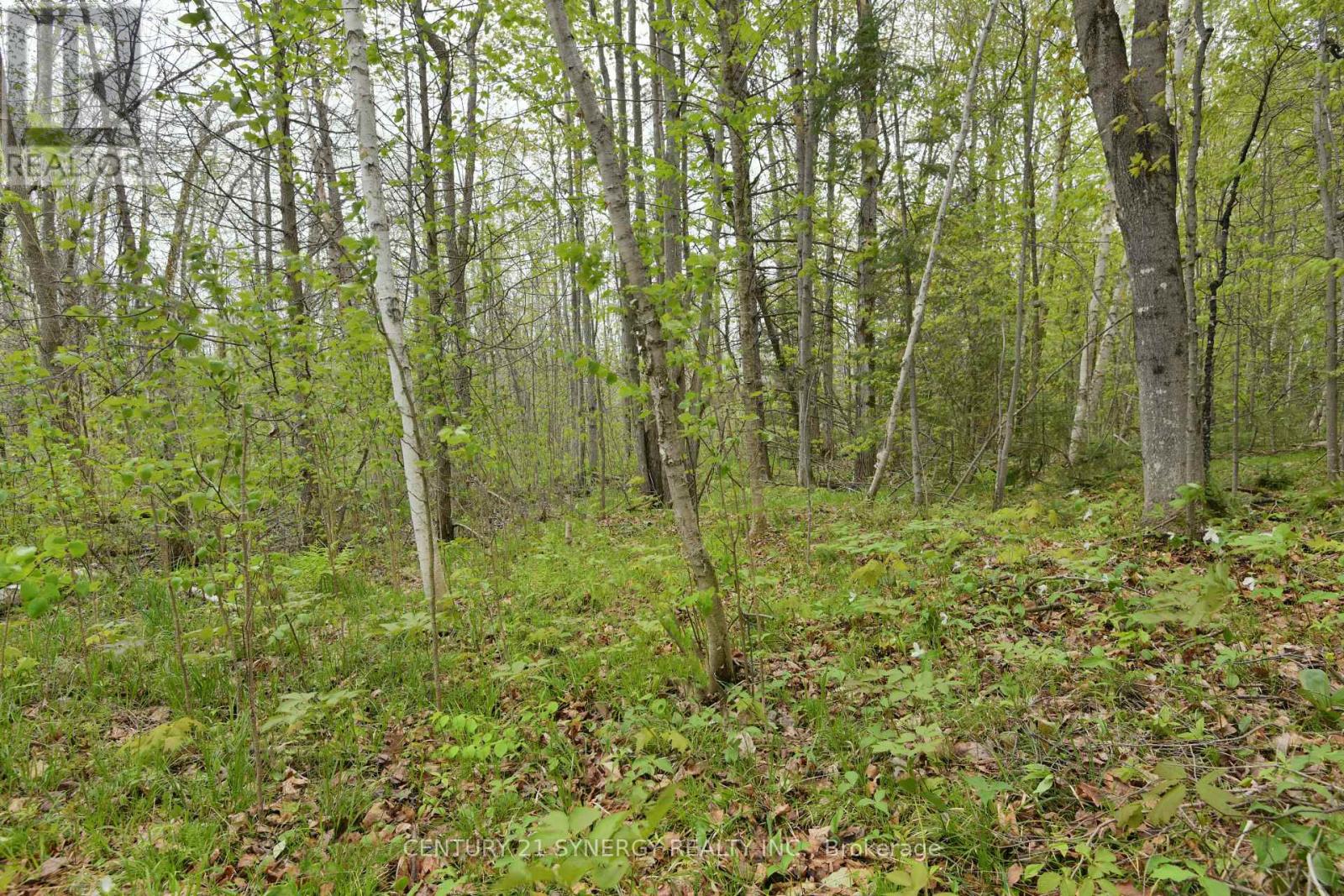 00 Milton Stewart Avenue, Mcnab/braeside, Ontario  K7S 0E1 - Photo 18 - X13169374