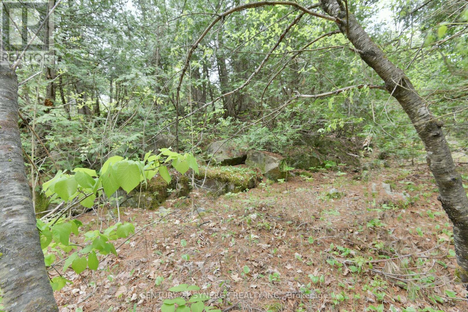 00 Milton Stewart Avenue, Mcnab/braeside, Ontario  K7S 0E1 - Photo 18 - X13169766