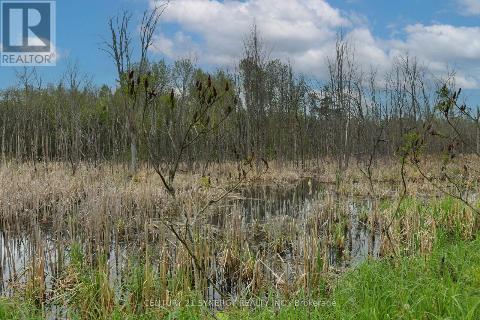 00 Milton Stewart Avenue, Mcnab/braeside, Ontario  K7S 0E1 - Photo 19 - X13169766