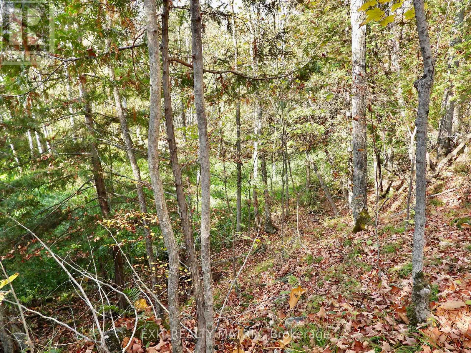 Lot 1 Woodland Park Drive, Frontenac, Ontario  K0H 1B0 - Photo 2 - X13172610