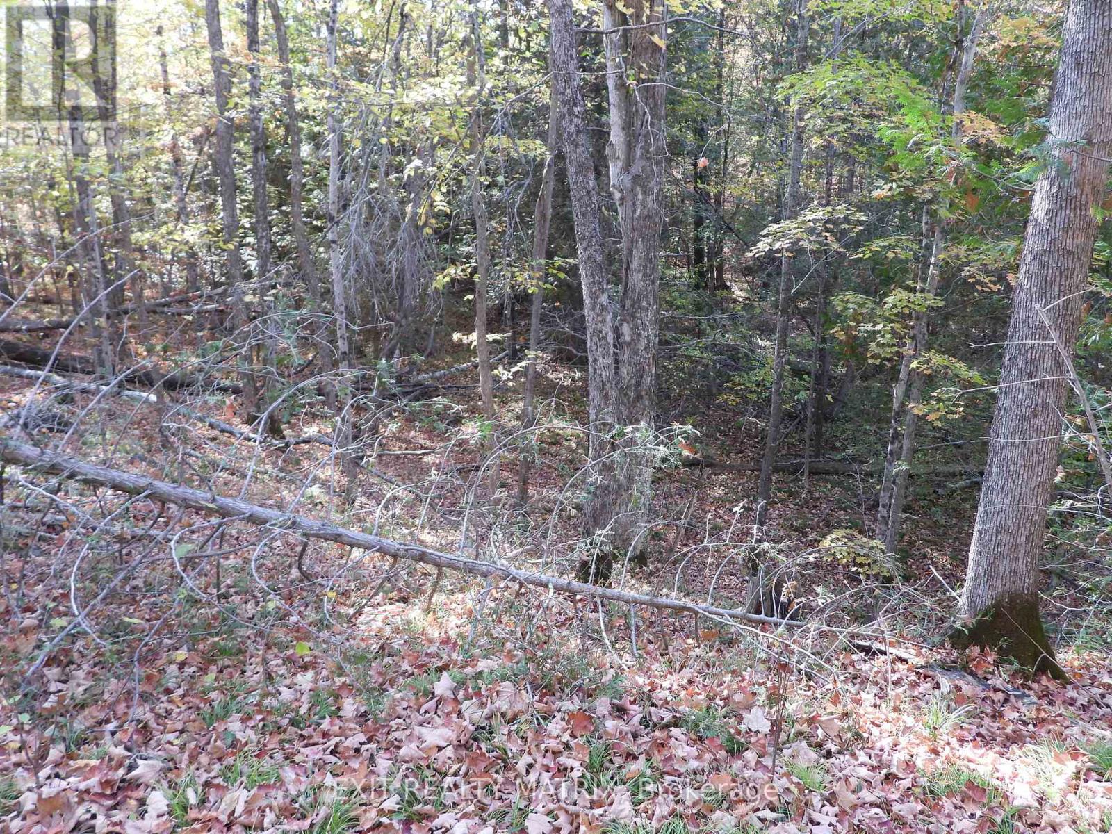 Lot 1 Woodland Park Drive, Frontenac, Ontario  K0H 1B0 - Photo 3 - X13172610