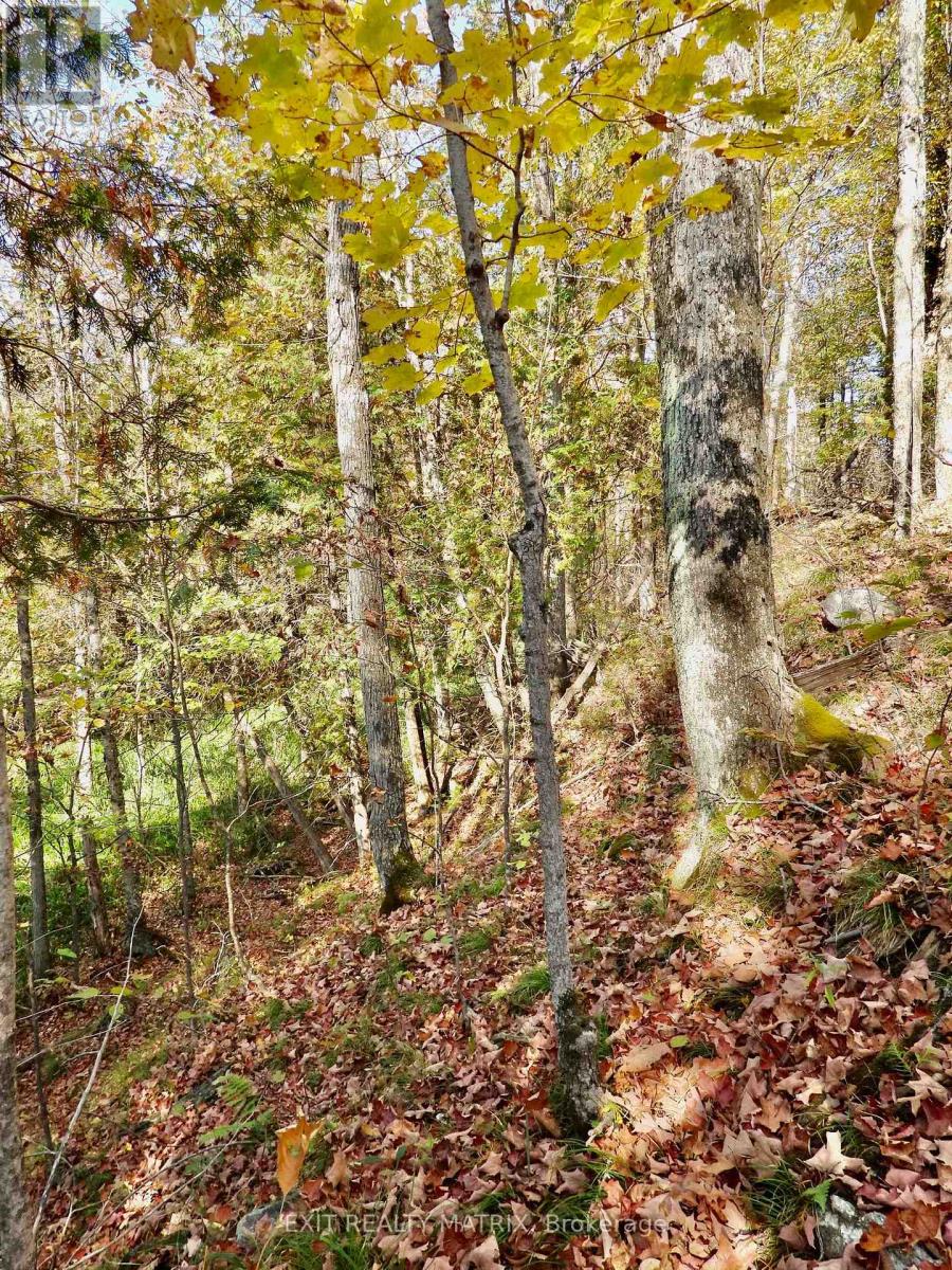 Lot 1 Woodland Park Drive, Frontenac, Ontario  K0H 1B0 - Photo 4 - X13172610