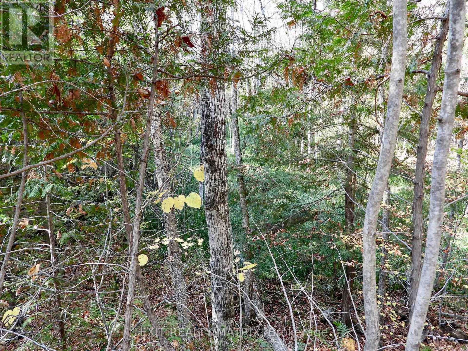 Lot 1 Woodland Park Drive, Frontenac, Ontario  K0H 1B0 - Photo 5 - X13172610