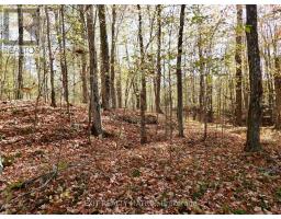 LOT 1 WOODLAND PARK DRIVE, Frontenac, Ontario