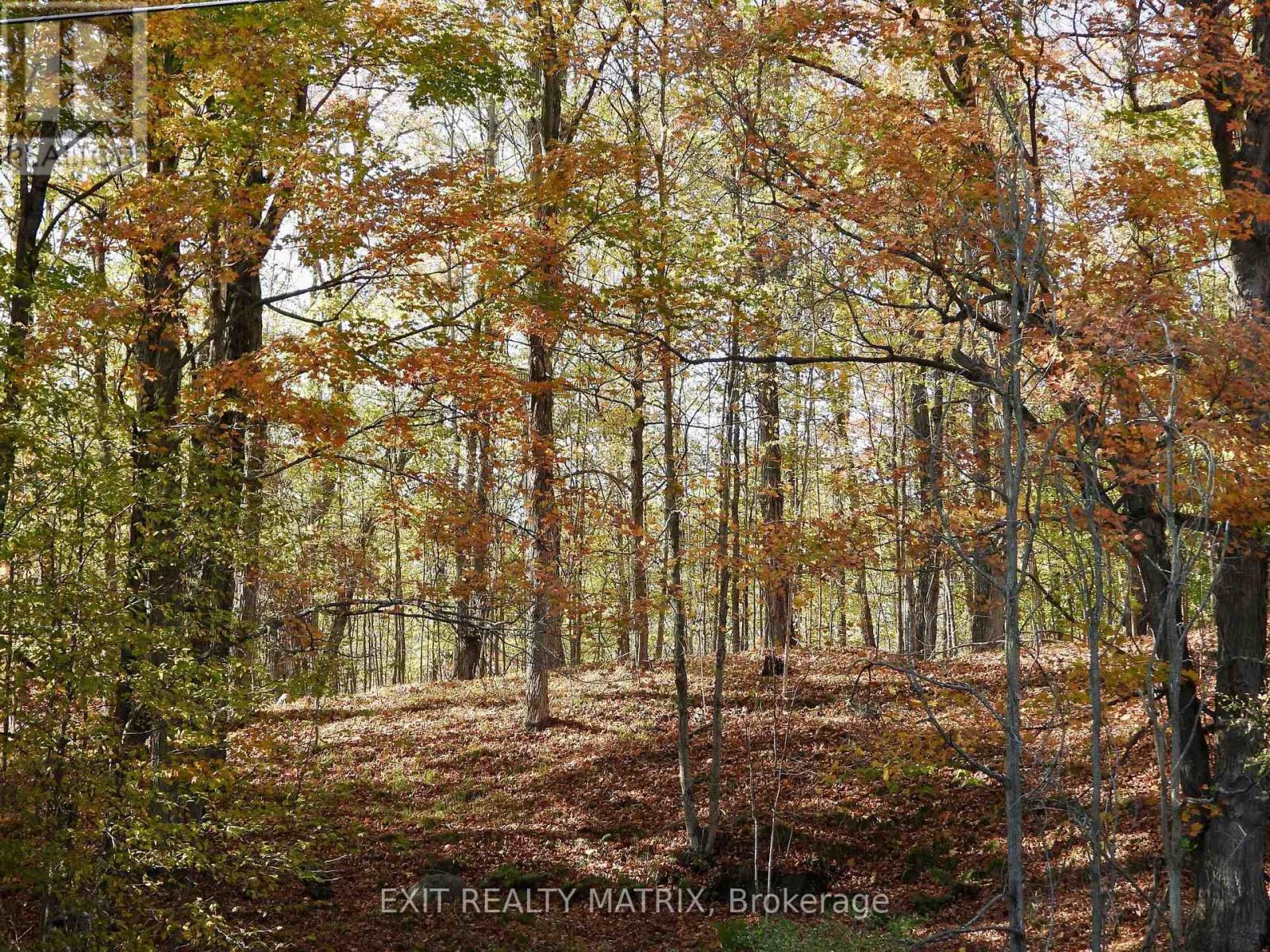 Lot 2 Woodland Park Drive, Frontenac, Ontario  K0H 1B0 - Photo 4 - X13172676