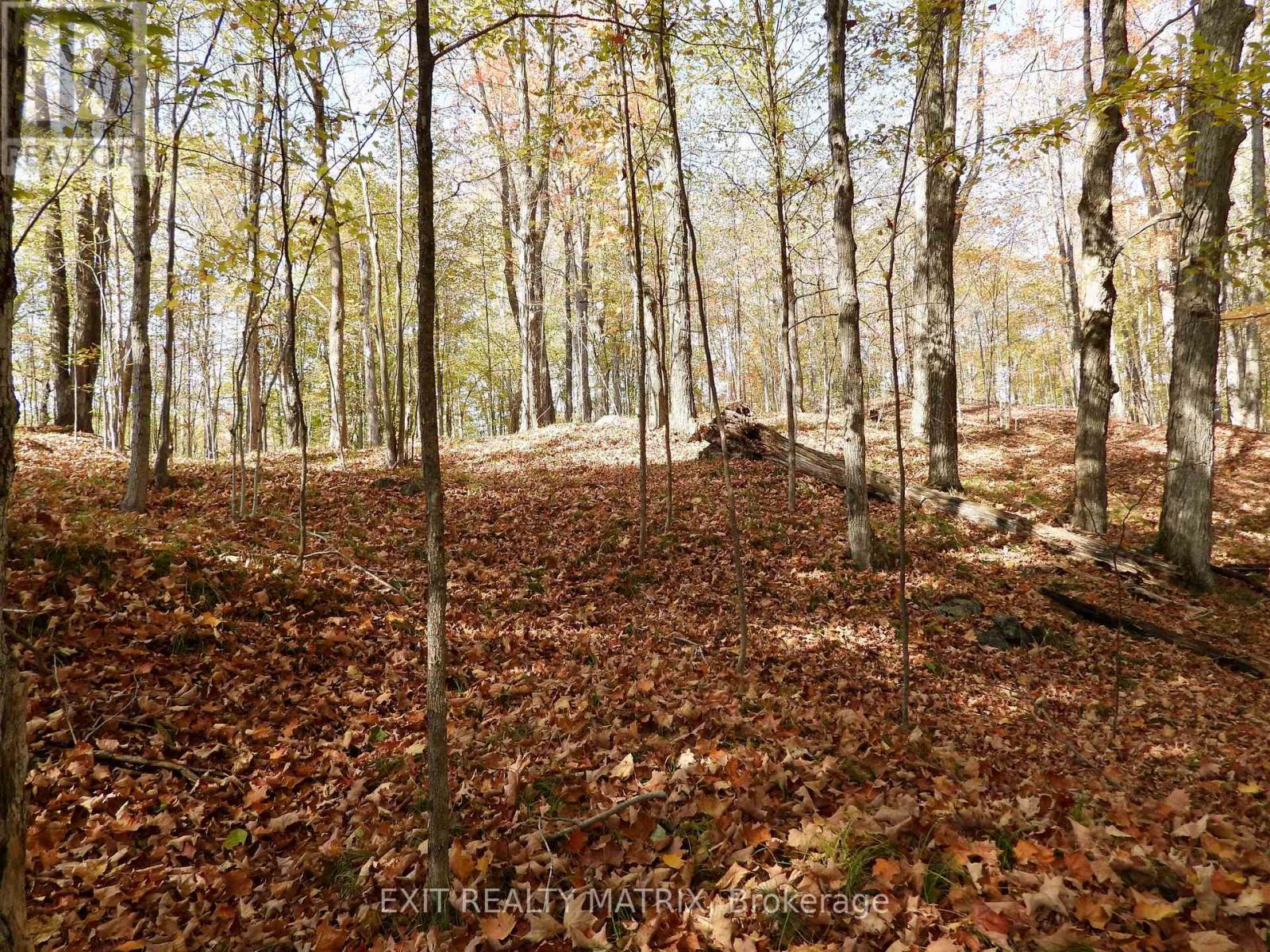 Lot 2 Woodland Park Drive, Frontenac, Ontario  K0H 1B0 - Photo 5 - X13172676