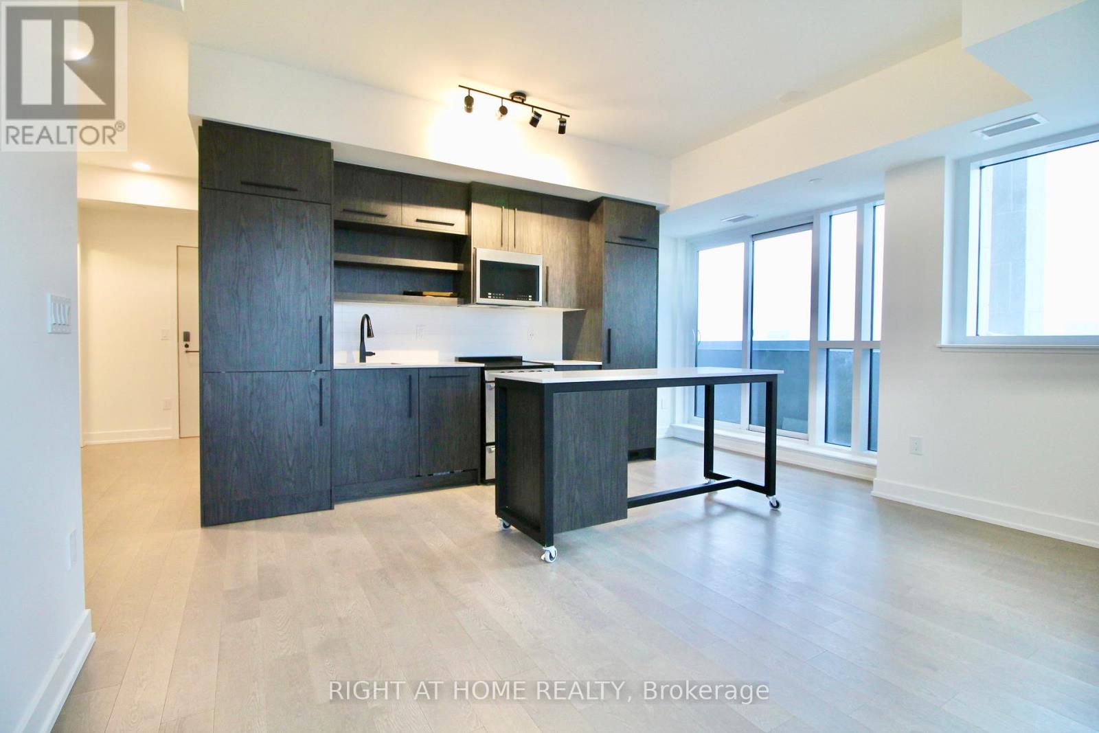 1004 - 560 Rideau Street, Ottawa, Ontario  K1N 5Z8 - Photo 5 - X13173390