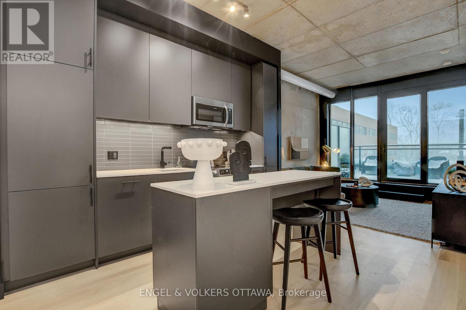 217 - 10 James Street, Ottawa, Ontario  K2P 1T2 - Photo 13 - X13174566
