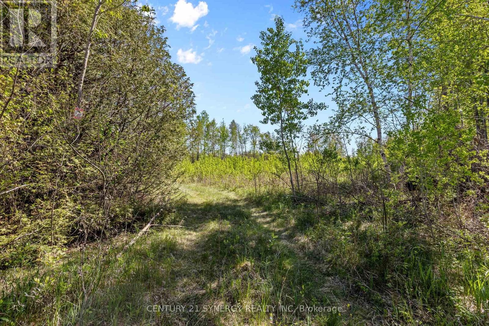 1211 Van Buren Street, North Grenville, Ontario  K0G 1J0 - Photo 11 - X13192236