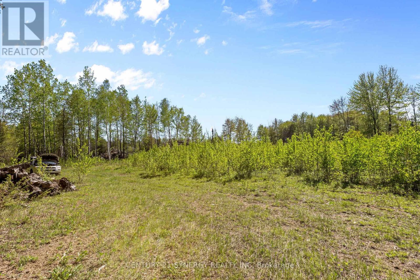 1211 Van Buren Street, North Grenville, Ontario  K0G 1J0 - Photo 12 - X13192236