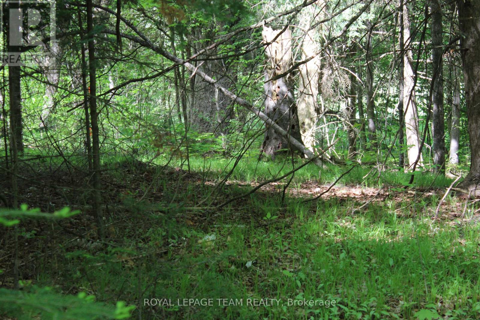 112 Mitchell Lane, Mcnab/braeside, Ontario  K7S 3G8 - Photo 17 - X13210422