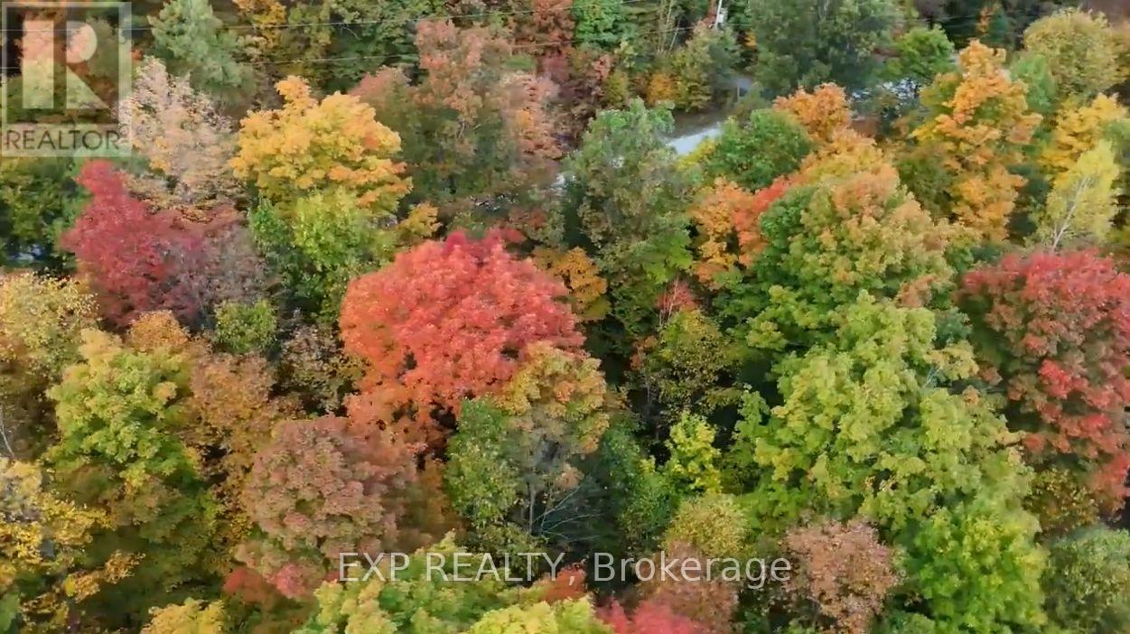 00 Iron Mine Road, Lanark Highlands, Ontario  K0G 1K0 - Photo 24 - X13212804