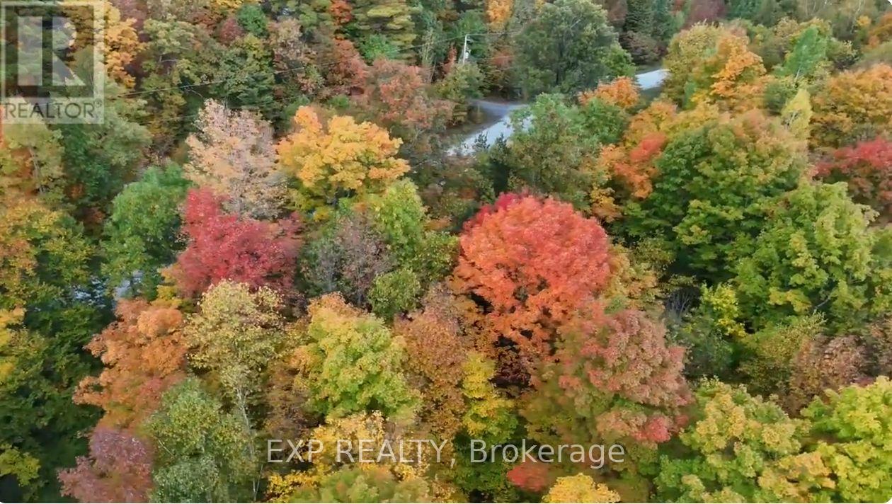 00 Iron Mine Road, Lanark Highlands, Ontario  K0G 1K0 - Photo 25 - X13212804