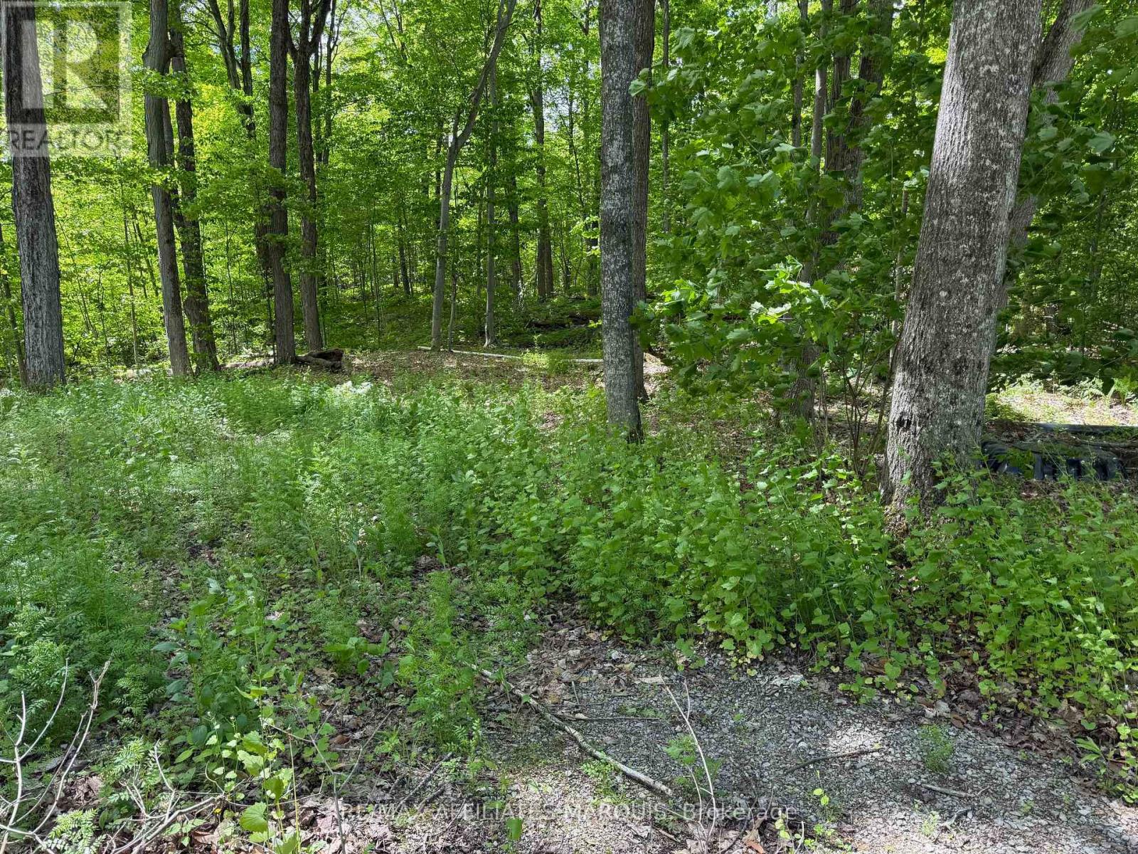 325 Cedar Sands Road, Rideau Lakes, Ontario  K0E 1N0 - Photo 10 - X13217598