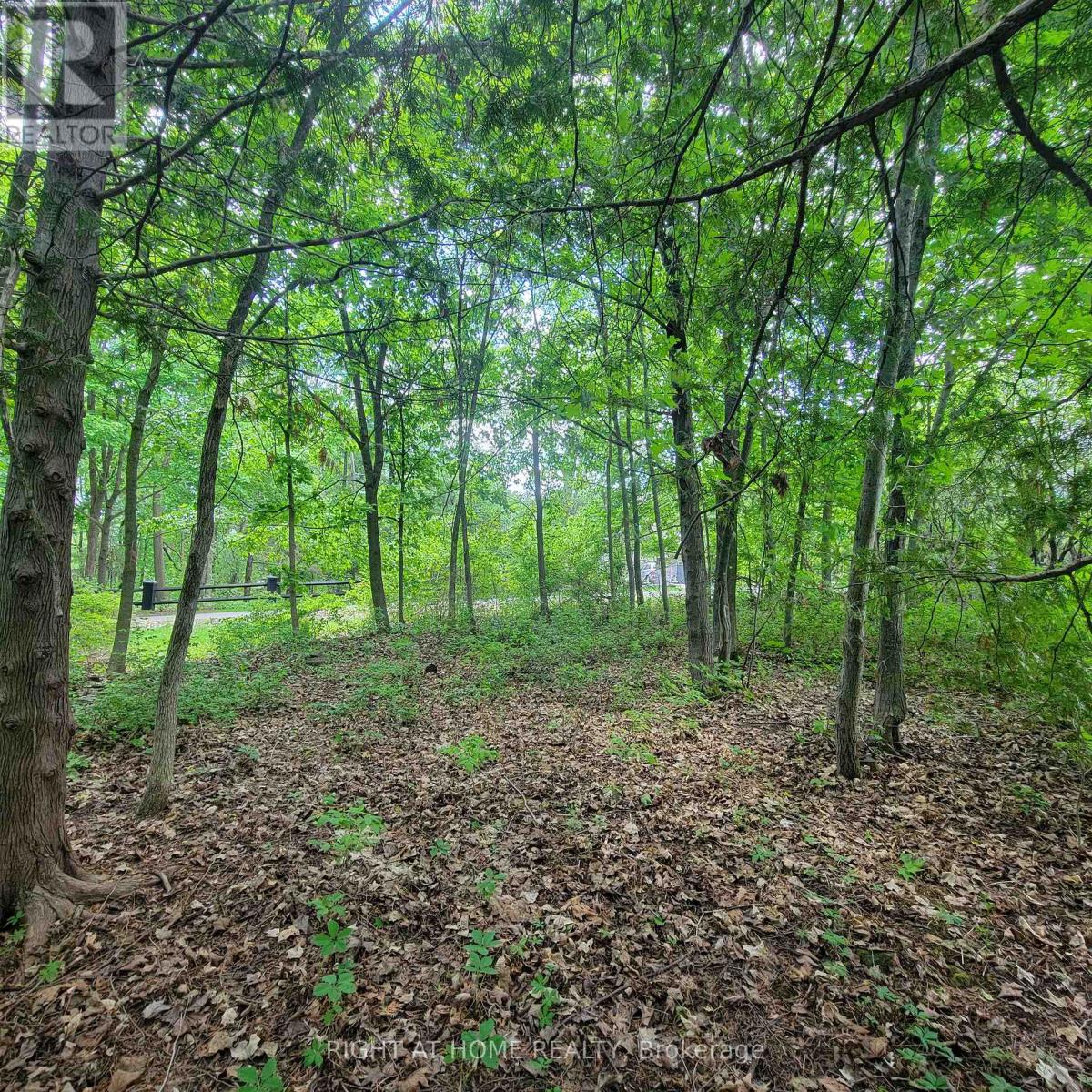 7 Beckenham Lane, Ottawa, Ontario  K1J 7J4 - Photo 4 - X13224950