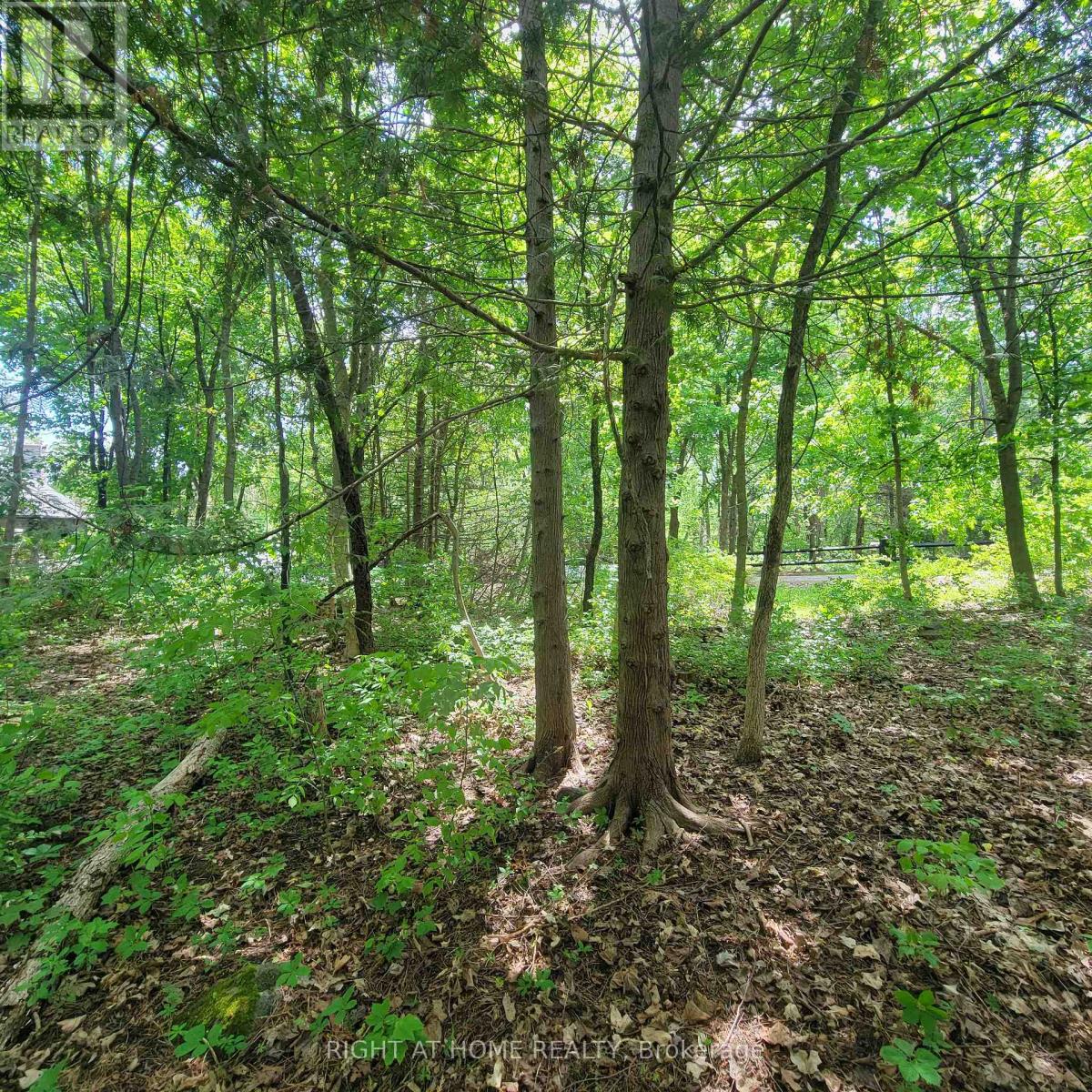 7 Beckenham Lane, Ottawa, Ontario  K1J 7J4 - Photo 5 - X13224950