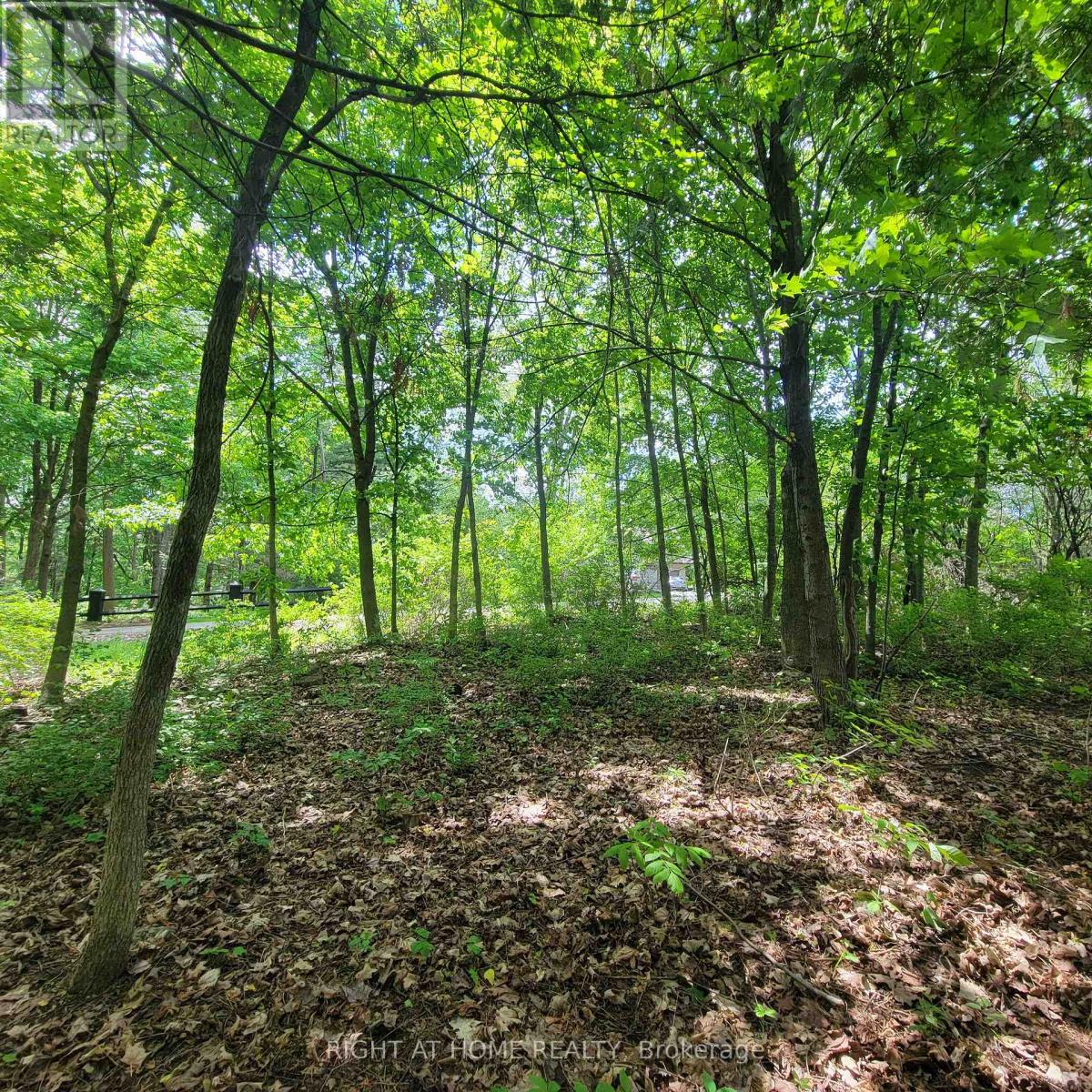7 Beckenham Lane, Ottawa, Ontario  K1J 7J4 - Photo 6 - X13224950