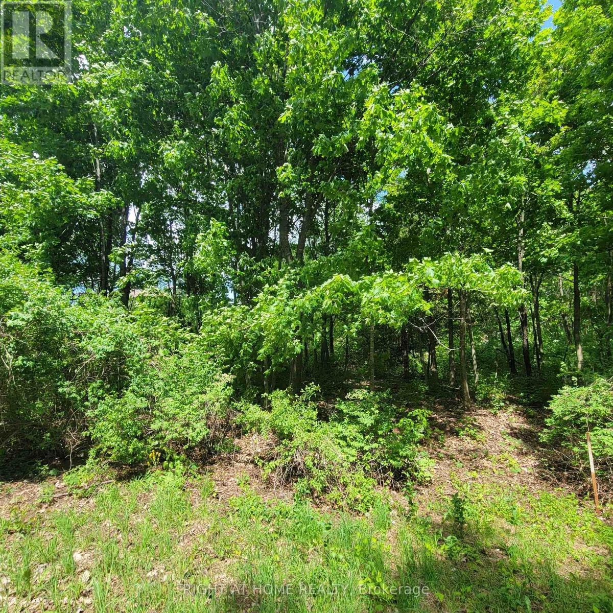 7 Beckenham Lane, Ottawa, Ontario  K1J 7J4 - Photo 7 - X13224950