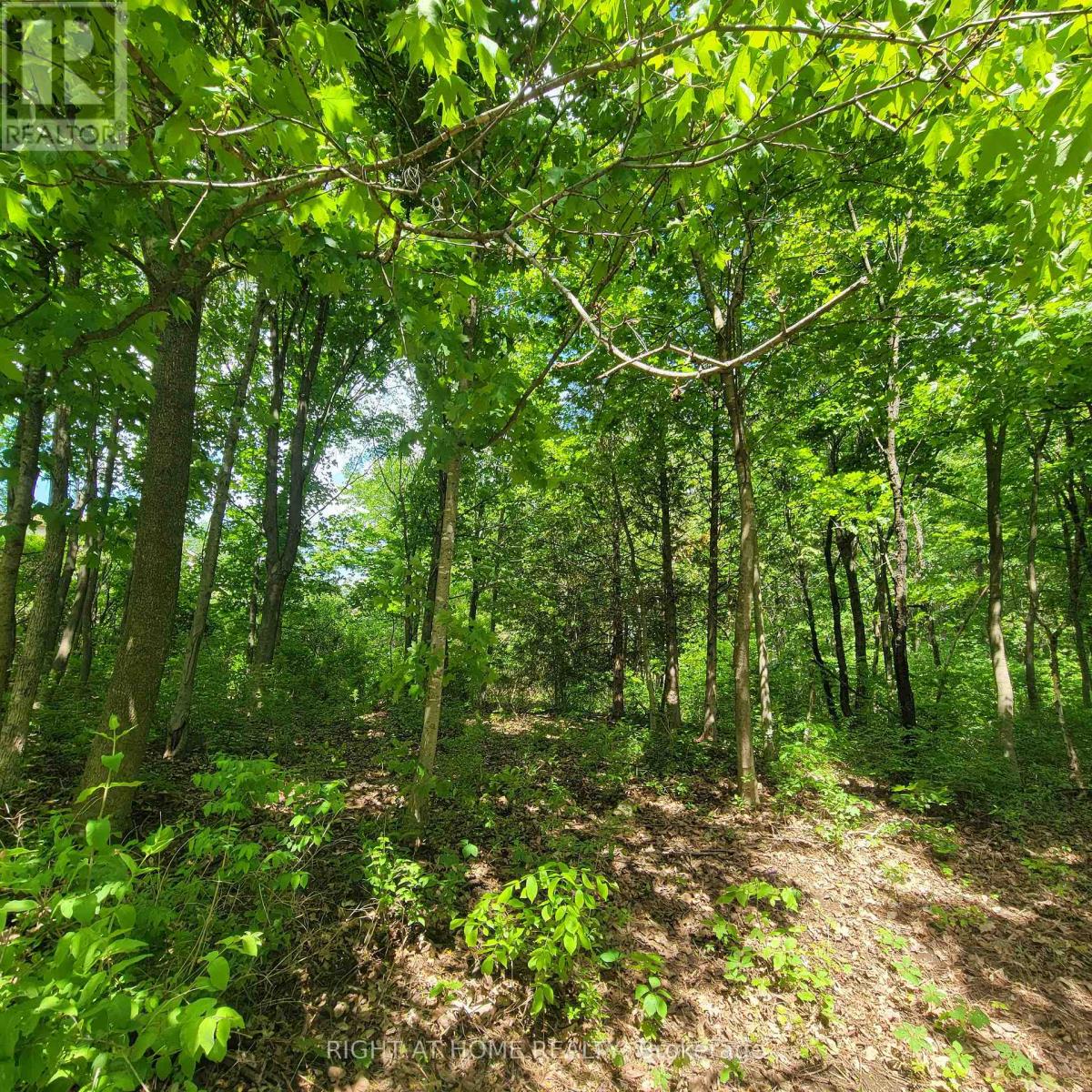 7 Beckenham Lane, Ottawa, Ontario  K1J 7J4 - Photo 8 - X13224950