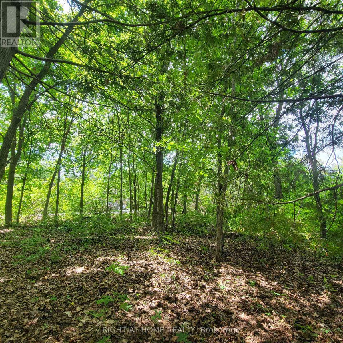 7 Beckenham Lane, Ottawa, Ontario  K1J 7J4 - Photo 9 - X13224950