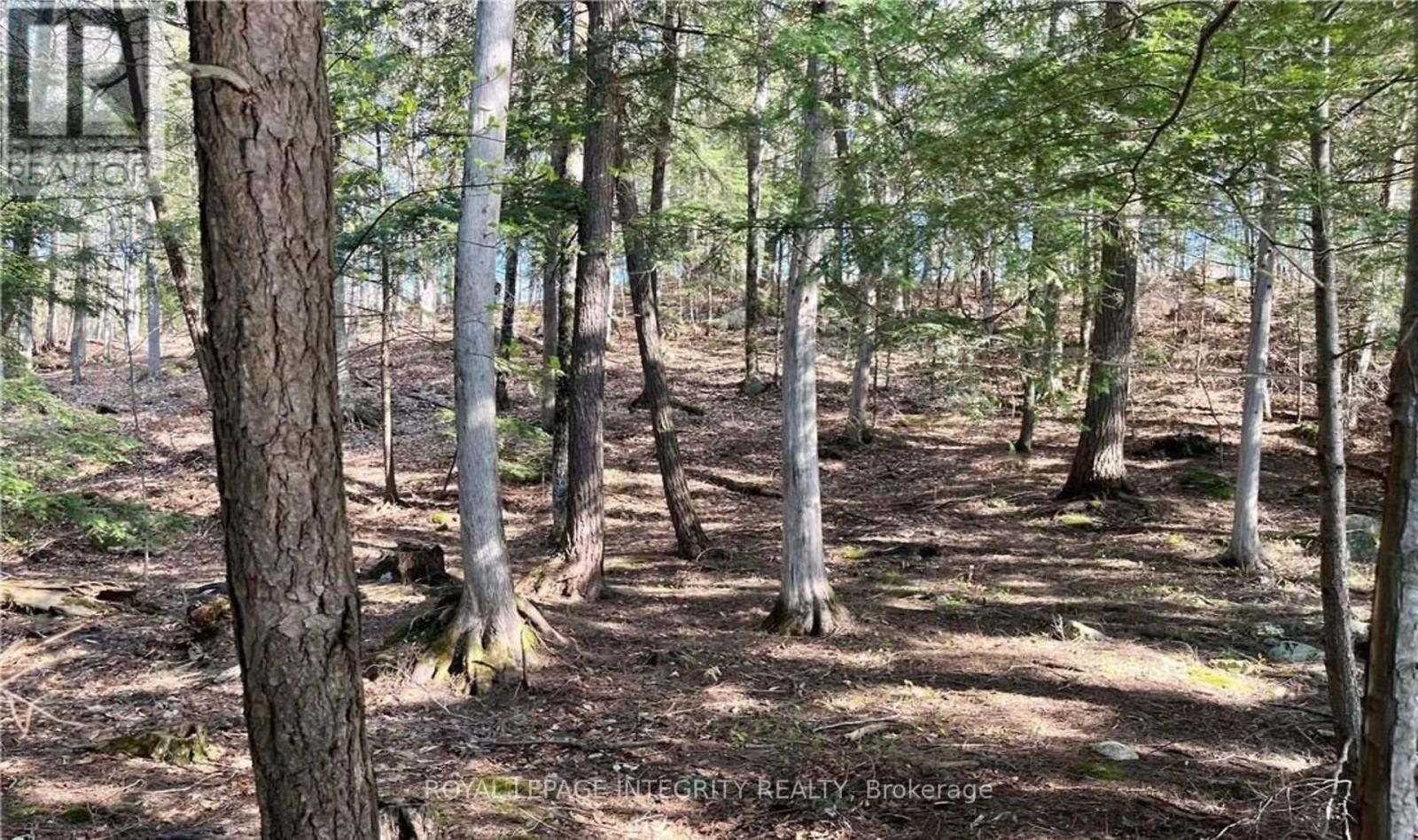 131 Shady Maple Road, Mcnab/braeside, Ontario  K0J 1G0 - Photo 11 - X13228638