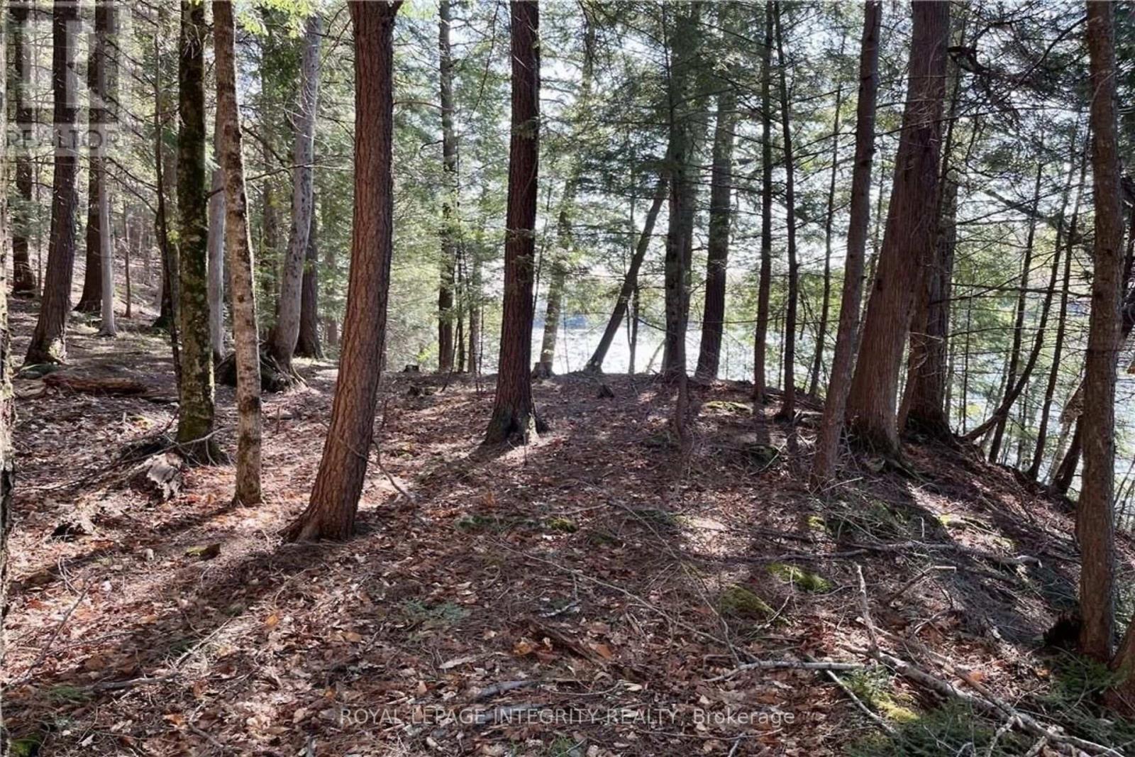 131 Shady Maple Road, Mcnab/braeside, Ontario  K0J 1G0 - Photo 12 - X13228638