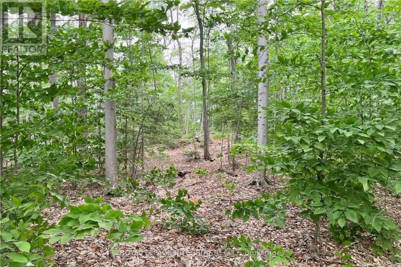 131 Shady Maple Road, Mcnab/braeside, Ontario  K0J 1G0 - Photo 25 - X13228638