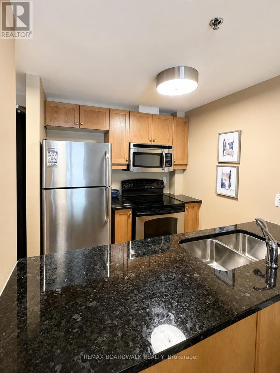 306 - 323 Winona Avenue, Ottawa, Ontario  K1Z 5H3 - Photo 4 - X13229964