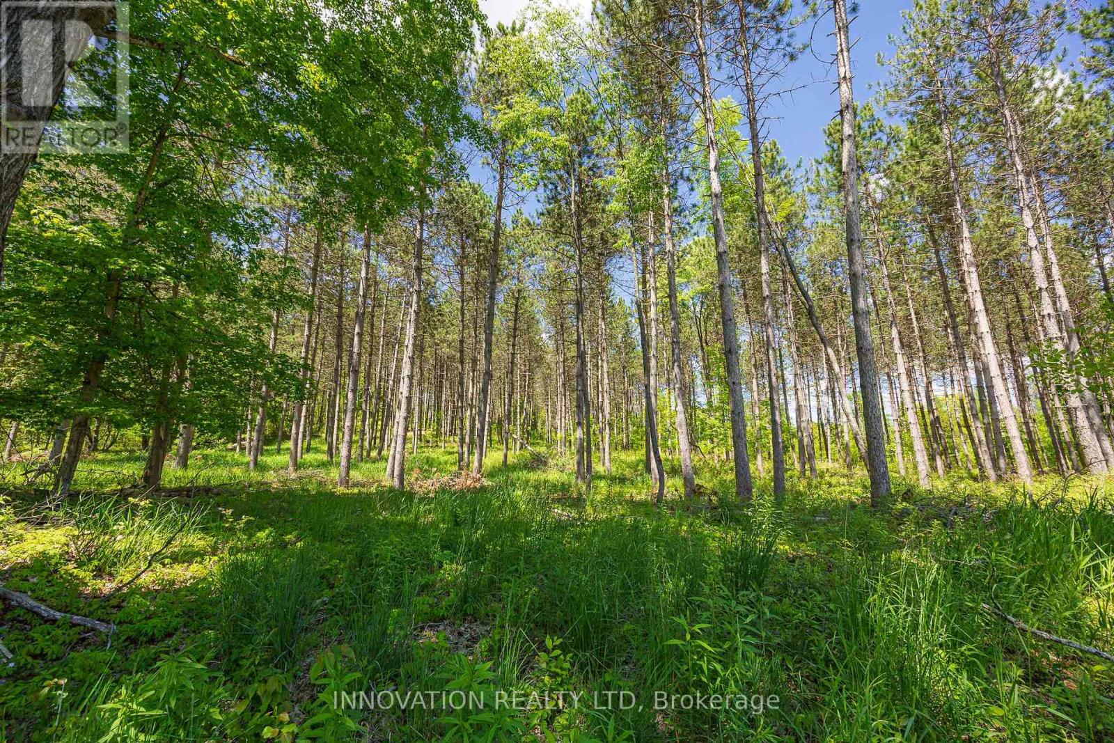 354 Mcculloch Road, Lanark Highlands, Ontario  K0G 1M0 - Photo 5 - X13238732