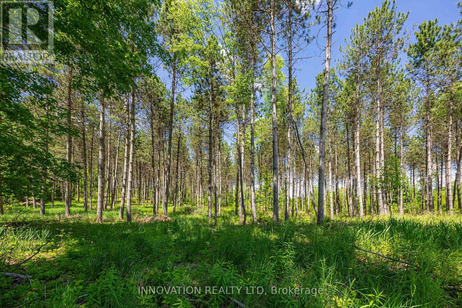 354 Mcculloch Road, Lanark Highlands, Ontario  K0G 1M0 - Photo 6 - X13238732