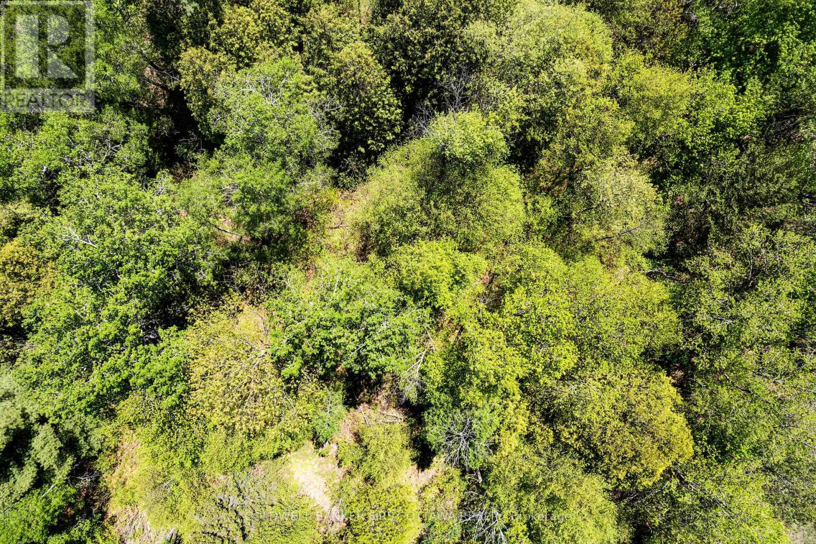 00 Dalhousie Concession 3, Lanark Highlands, Ontario  K0G 1K0 - Photo 11 - X13239424