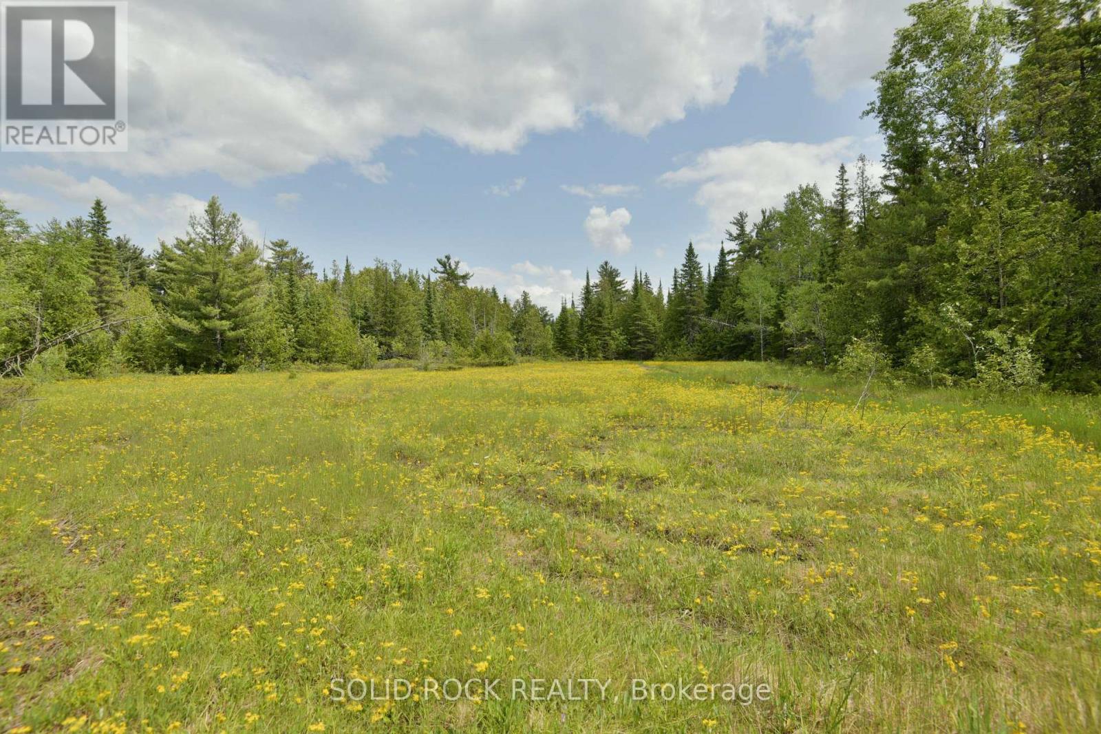 0 Mast Road, Mcnab/braeside, Ontario  K7S 3G8 - Photo 5 - X13241032