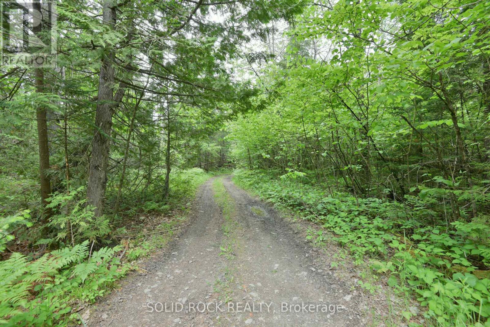 0 Mast Road, Mcnab/braeside, Ontario  K7S 3G8 - Photo 9 - X13241032
