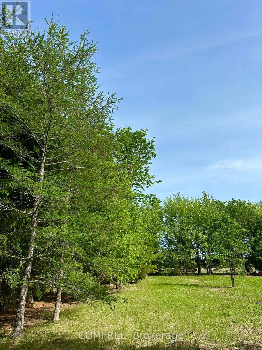 3646 Kinburn Side Road, Ottawa, Ontario  K0A 2H0 - Photo 10 - X13248142