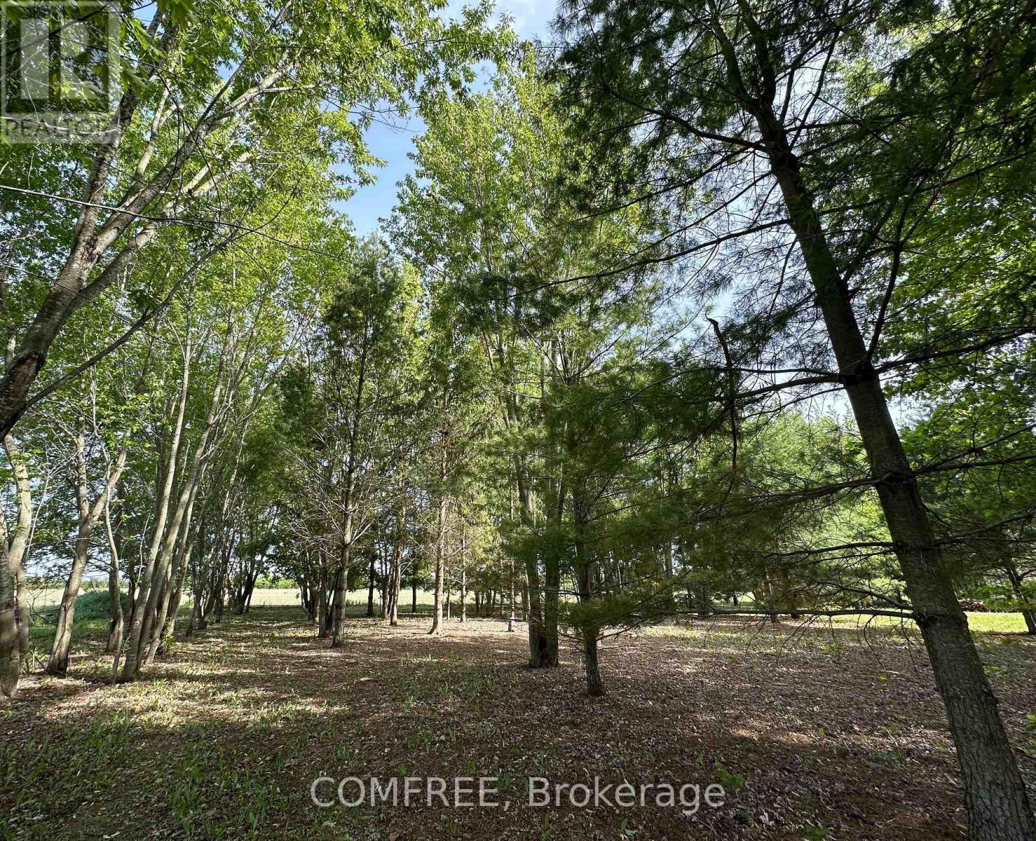 3646 Kinburn Side Road, Ottawa, Ontario  K0A 2H0 - Photo 11 - X13248142