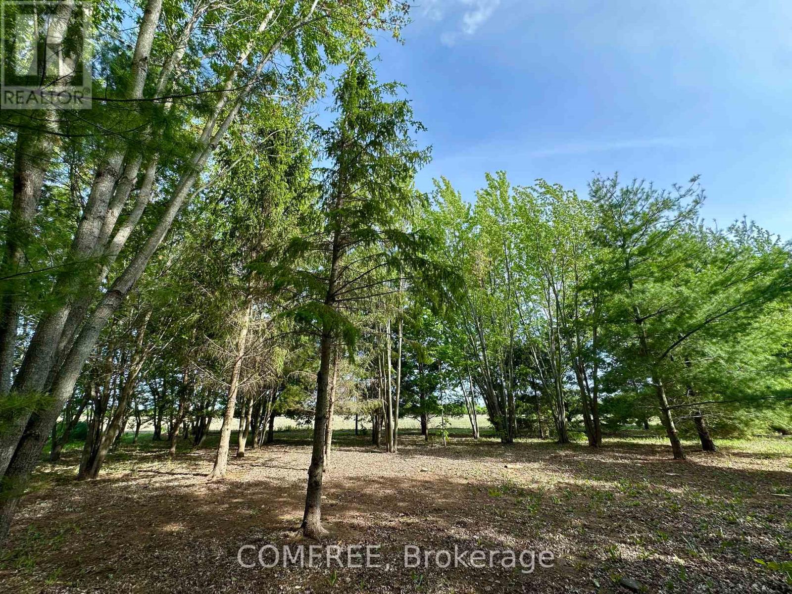 3646 Kinburn Side Road, Ottawa, Ontario  K0A 2H0 - Photo 12 - X13248142