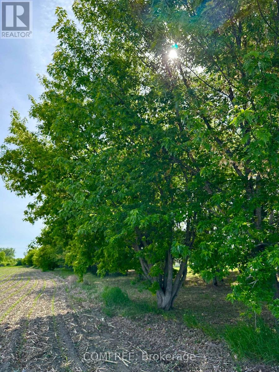 3646 Kinburn Side Road, Ottawa, Ontario  K0A 2H0 - Photo 6 - X13248142