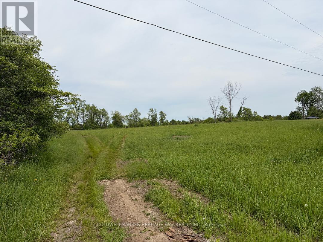 00 Ramsay Concession 1 Road, Mississippi Mills, Ontario  K7C 0T9 - Photo 6 - X13250050