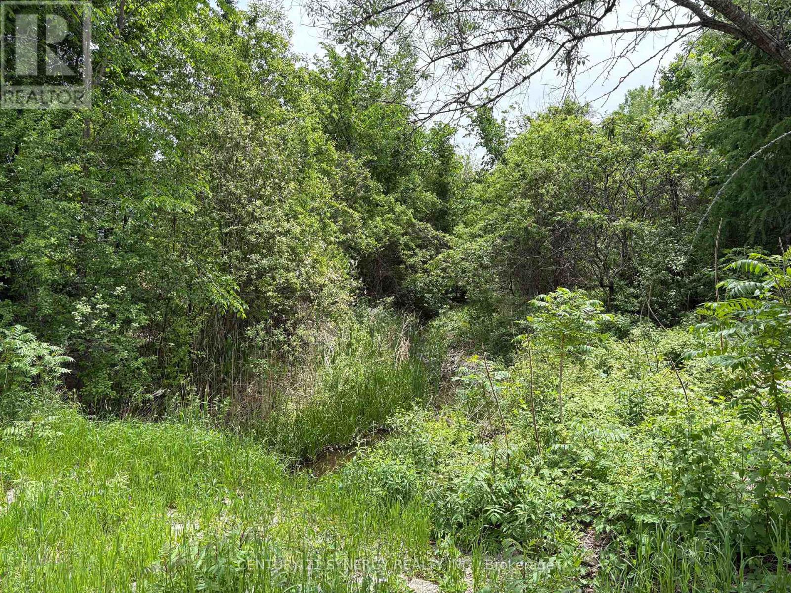 45 Turtle Point Private, Ottawa, Ontario  K2K 3P1 - Photo 40 - X13411290